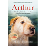 Arthur: The Dog Who Crossed the Jungle to Find a Home