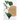 General Worship Bulletin: Much Fruit (Package of 100): John 15:5 (Kjv)