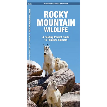 Rocky Mountain Wildlife: A Folding Pocket Guide to Familiar Animals