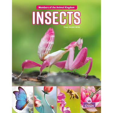 Insects