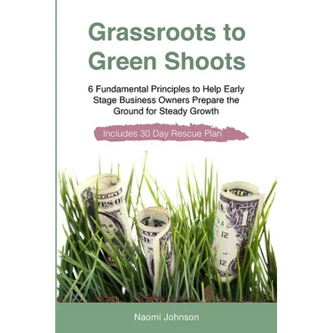 Grassroots to Green Shoots: 6 Fundamental Principles to Help Early Stage Business Owners Prepare the Ground for Steady Growth