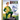 I Am Fiyero (Universal Pictures Wicked)