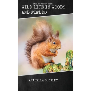 Wild Life in Woods and Fields