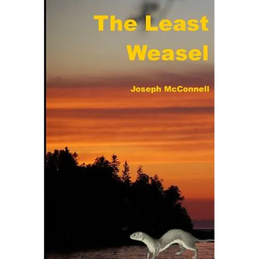 The Least Weasel