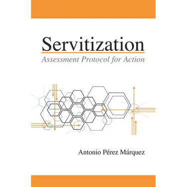 Servitization: Assessment Protocol for Action