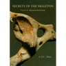 Secrets of the Skeleton: Form in Metamorphosis