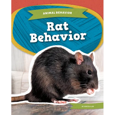 Rat Behavior