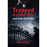 Trapped in a Closed World: Catholic Culture and Sexual Abuse