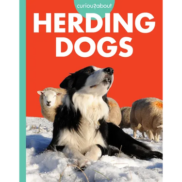 Curious about Herding Dogs