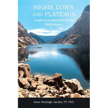 Highs, Lows, and Plateaus: A path to recovery from stroke