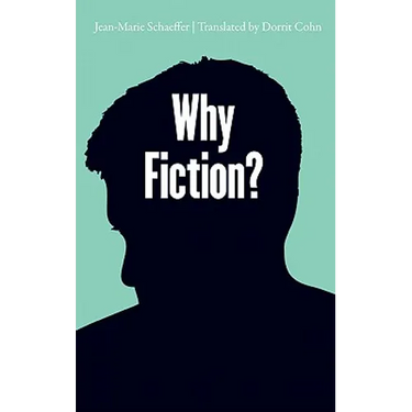 Why Fiction?
