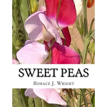 Sweet Peas