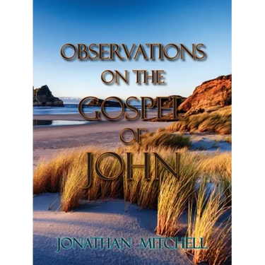 Observations on the Gospel of John
