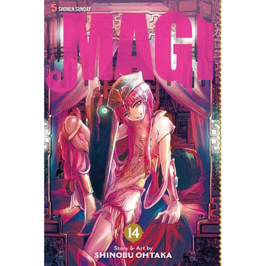 Magi: The Labyrinth of Magic, Vol. 14: The Labyrinth of Magic