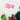 1c5f3e22-aa9a-4ba9-98d6-9bbf026b5340-Max