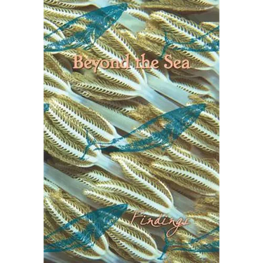 Beyond the Sea: Findings