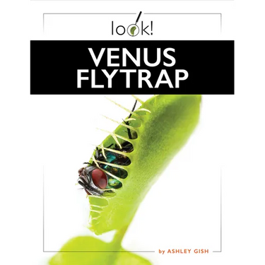 Venus Flytrap