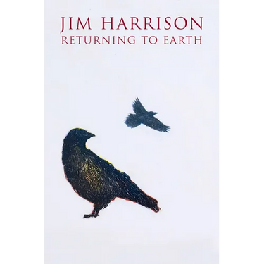 Returning to Earth