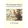The Passenger Pigeon