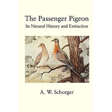 The Passenger Pigeon