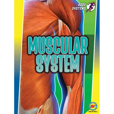Muscular System