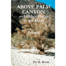 Above Palm Canyon and Other Places in the Mind