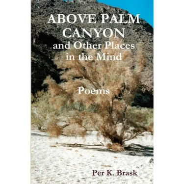 Above Palm Canyon and Other Places in the Mind