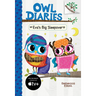Eva's Big Sleepover: A Branches Book (Owl Diaries #9): Volume 9