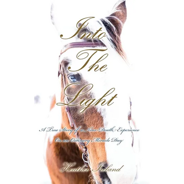 Into The Light: A True Story of a Near-Death Experience on An Ordinary Miracle Day