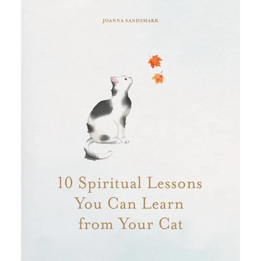 10 Spiritual Lessons You Can Learn from Your Cat: Essential Life Lessons We Can Learn from Our Furry Friend