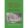Pages From a Welsh Cunning Man's Book: Magic and Fairies in Nineteenth-Century Wales