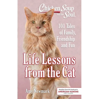 Chicken Soup for the Soul: Life Lessons from the Cat: 101 Tales of Family, Friendship and Fun