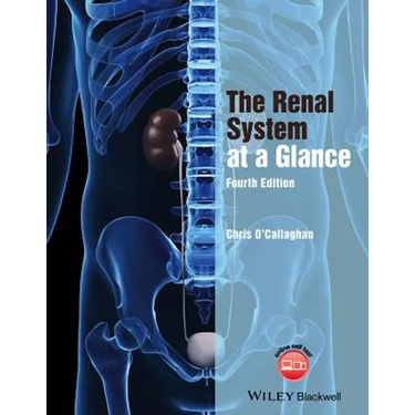 The Renal System at a Glance
