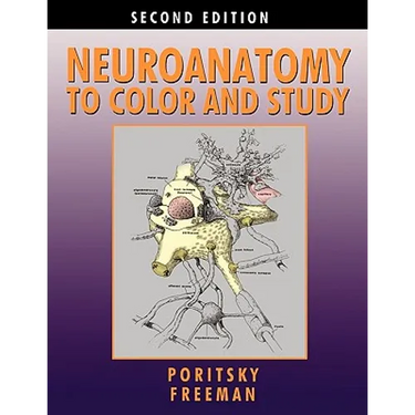 Neuroanatomy to Color and Study