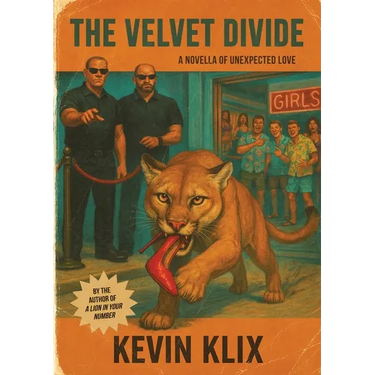 The Velvet Divide: A Novella of Unexpected Love
