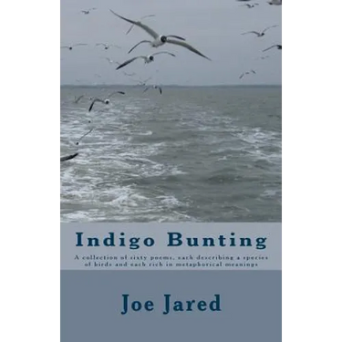 Indigo Bunting: A collection of sixty poems, each describing a species of birds and each rich in metaphorical meanings