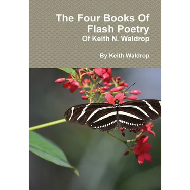 The Books Of Flash Poetry Of Keith N. Waldrop