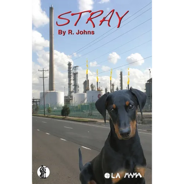 Stray and The Parricide