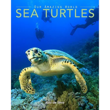 Sea Turtles: Amazing Pictures & Fun Facts on Animals in Nature