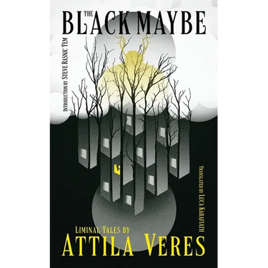 The Black Maybe: Liminal Tales