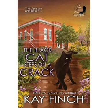 The Black Cat Steps on a Crack