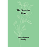 The sensitive plant