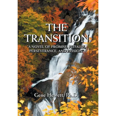 The Transition "A Novel of Promise, Pitfalls, Perseverance, and Passion"