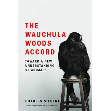 Wauchula Woods Accord
