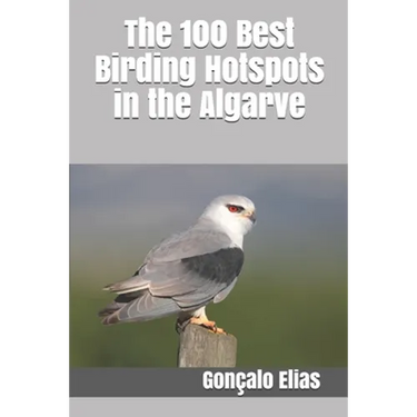 The 100 Best Birding Hotspots in the Algarve