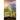 Your Word is a Lamp to My Feet: Panorama of the Bible