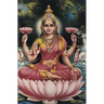 Devi: 150-page Diary With Hindu Goddess Lakshmi on the Cover and a Sri Yantra on the Back for Meditation / Concentration / Visualization / Focusing [B