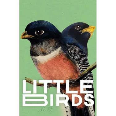 Little Birds 2 (green): 2 (green)