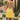 20d084c2d5db453a9e0abcffad9b3b83-Max