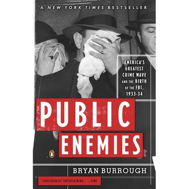 Public Enemies: America's Greatest Crime Wave and the Birth of the Fbi, 1933-34